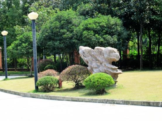 校园景3.JPG